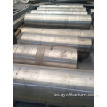 Гарачая продаж Gr5 Titanium сплаву зліткаў